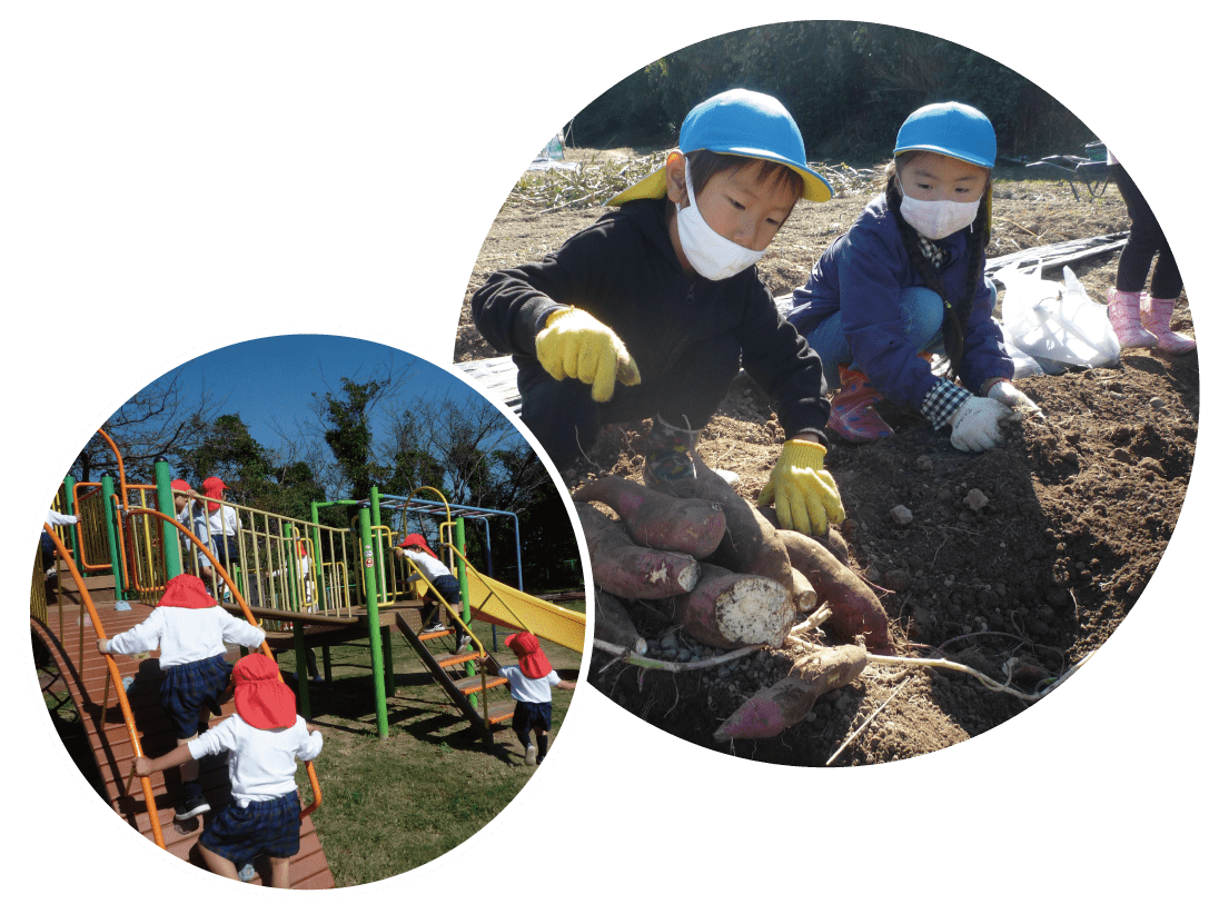 縦割り保育円グラフ