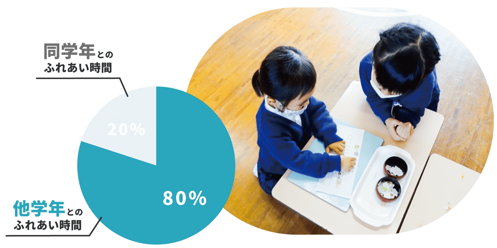 縦割り保育円グラフ